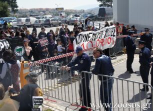 Τα βασάνισαν, τα έγδαραν, τώρα τα εκθέτουν!